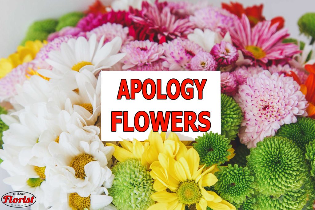 apology flowers Roanoke