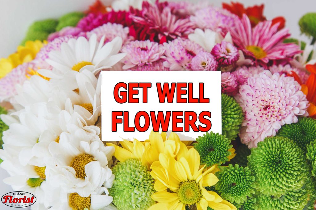 get well flowers Roanoke