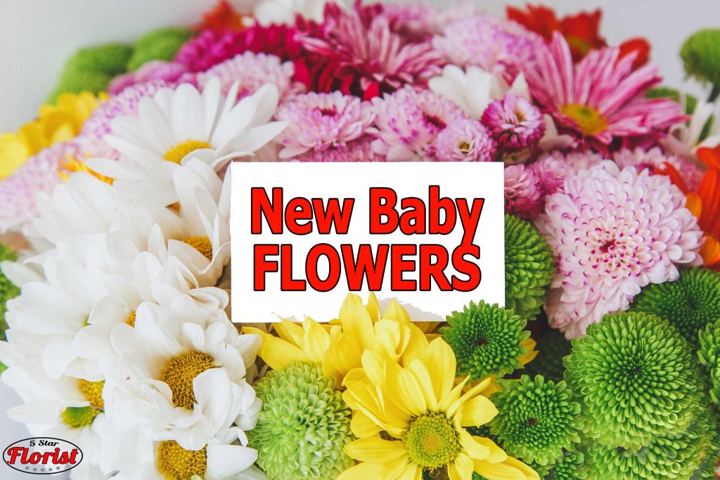 new baby flowers Roanoke